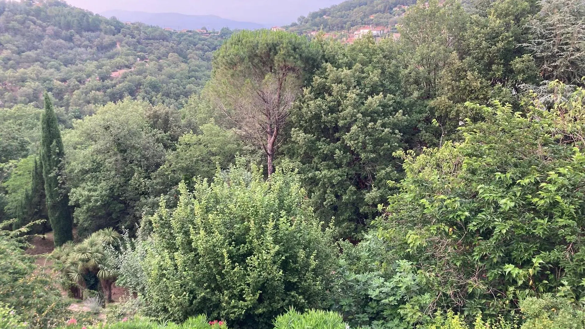 Le Mas de la Verrerie Les Adrets-de-l’Estérel Frühstückspension