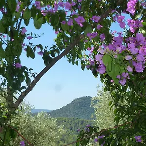 L'origane L'Escarene